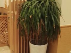 -德克士(通灌北路店)