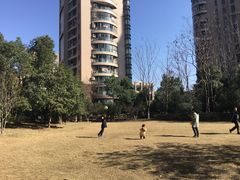 -耀江文鼎苑