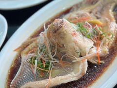 -小海豚•老字号海鲜餐厅(天涯店)