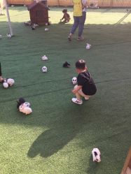 -萌宠亲子动物乐园(槐房万达店)