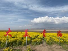 -青海湖国家重点风景名胜区