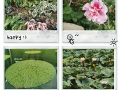 -中国科学院华南植物园