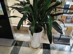 -中国工商银行(上海市愚园路支行)