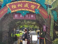 -瑞丽独树成林风景区