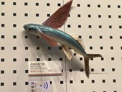 -四川大学博物馆