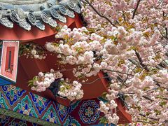 -石岛赤山风景区