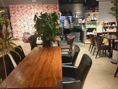 -百好乐宠物友好餐厅(朝外大街店)