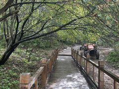 -帽儿山风景区