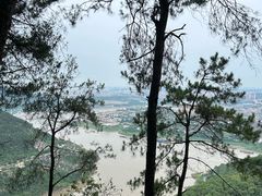 -铁山坪森林公园