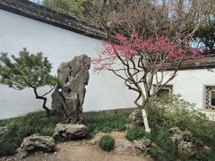 -杭州植物园