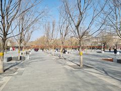 -莲花池公园