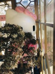 -北京俪婴妇产医院(朝阳大悦城店)