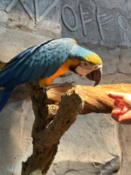 点击看大图 -Zoolung Zoolung动物主题公园(海信广场店)