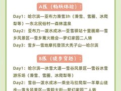 -红专尹胖子油炸糕