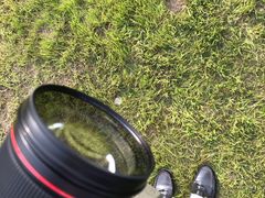 -全家便利店(槐树巷店)