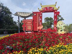 -金鸡山公园