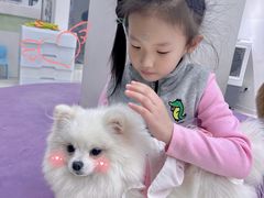 -怪兽屋·羊驼·猫咖·狗咖(俊华广场店)