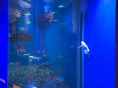 -长赢养生(平度店)