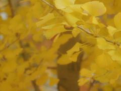 -苏州河梦清园环保主题公园