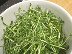 -烹然四季椰子鸡火锅(姚家园万象汇店)