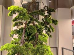 -八大碗·地道东北菜(东陵西路店)