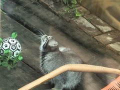 -青藏高原野生动物园