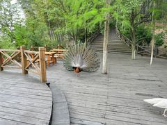 -天目湖山水园