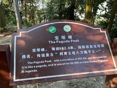 -缙云山景区