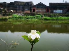 -苏家围·东江画廊旅游景区