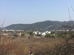 -香雪海