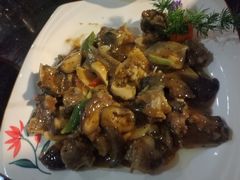 -云中小雅