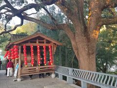 -塔川景区