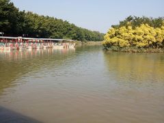 -大湾区中央湿地公园