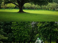 -荔香公园