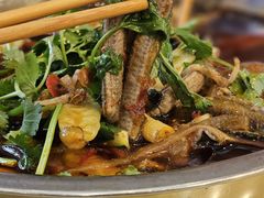 -高坎一品甲鱼庄(两河店)