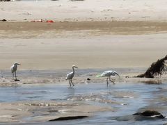 -六鳌翡翠湾滨海度假景区