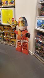 -乐高授权专卖店(华采天地店)