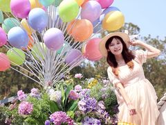-上海鲜花港