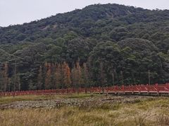 -广州市石门国家森林公园