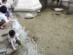 -碓臼峪自然风景区