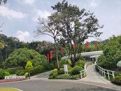 -云溪植物园