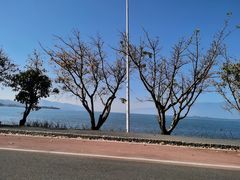 -大理洱海