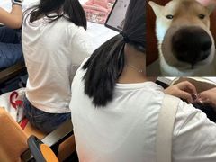 -JT PREP国际学科课程·IB·AP·Alevel(陆家嘴校区)