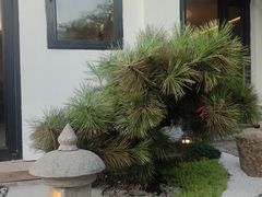 -汤宴·参须肚包鸡(南京路店)