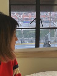 -本小姐美学·半永久纹眉野生眉