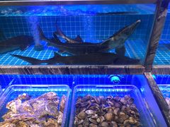 水产区-渔家风味·鲅鱼水饺·央视展播·海鲜天津菜(开发区店)