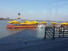 android_upload_pic-溱湖国家湿地公园