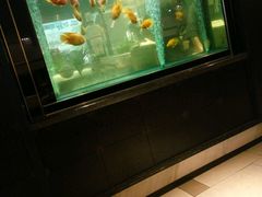 -亚马逊海鲜自助餐厅(惠山万达店)