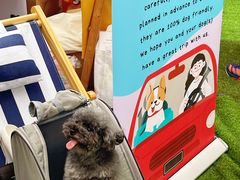 -老外街