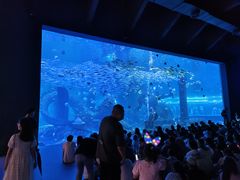 -哈尔滨波塞冬海底世界